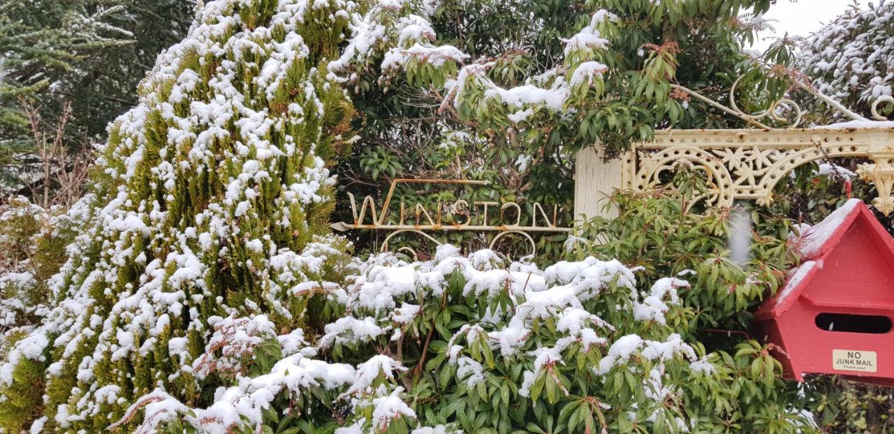 Winston Cottage At Three Sisters كاتومبا المظهر الخارجي الصورة